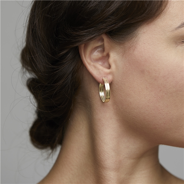 Noreen Earrings Gold Plated (Billede 2 af 2)