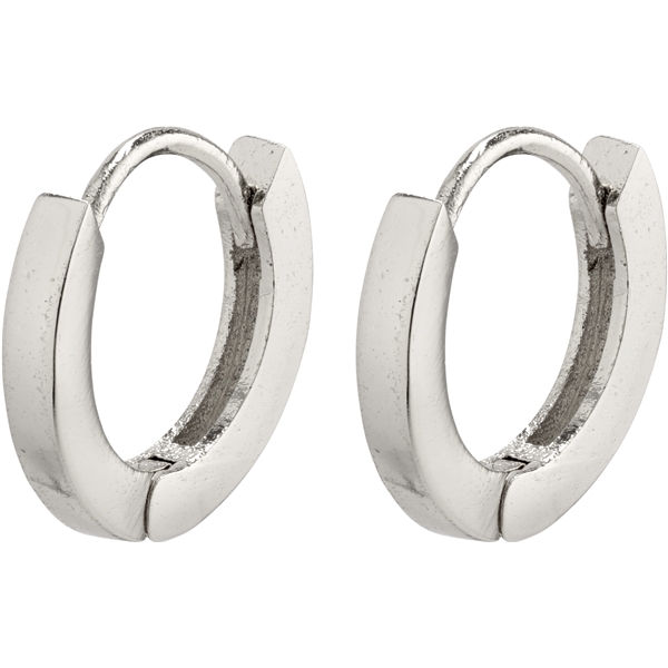 26203-6033 Arnelle Earrings Silver Plated