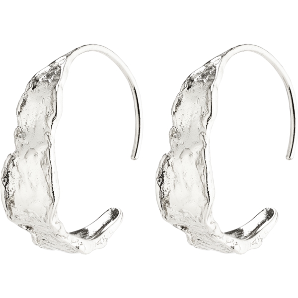 10211-6003 Compass Silver Plated Earrings (Billede 1 af 2)
