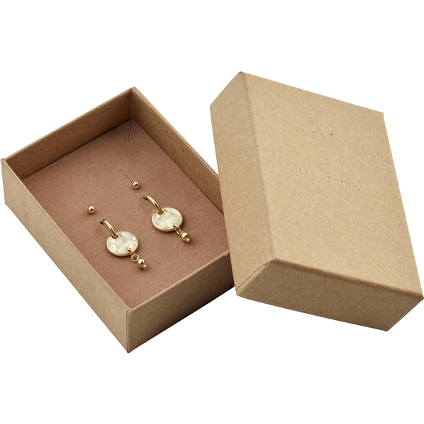 76223-2001 MSF Coin Hoops & Earstuds - Gift Set (Billede 1 af 5)