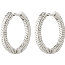 69233-6013 DOMINIQUE Hoop Earrings