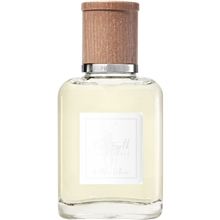 Polo Earth Antilles Vetiver - Eau de toilette