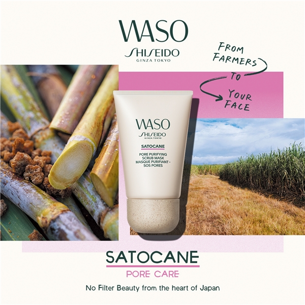 Waso Satocane Pore Purifying Scrub Mask (Billede 5 af 5)