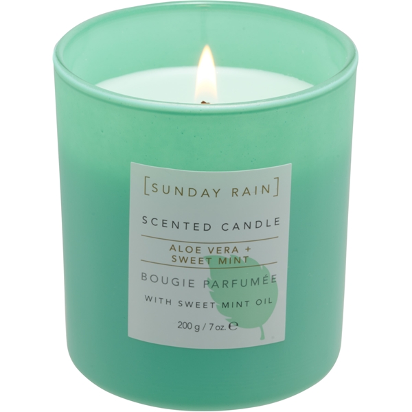 Sunday Rain Aloe & Sweet Mint Candle (Billede 1 af 5)