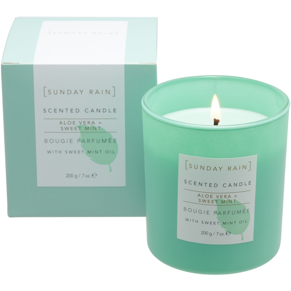 Sunday Rain Aloe & Sweet Mint Candle (Billede 2 af 5)