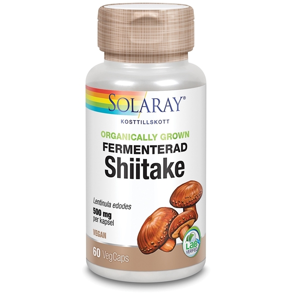 Fermenterad Shiitake