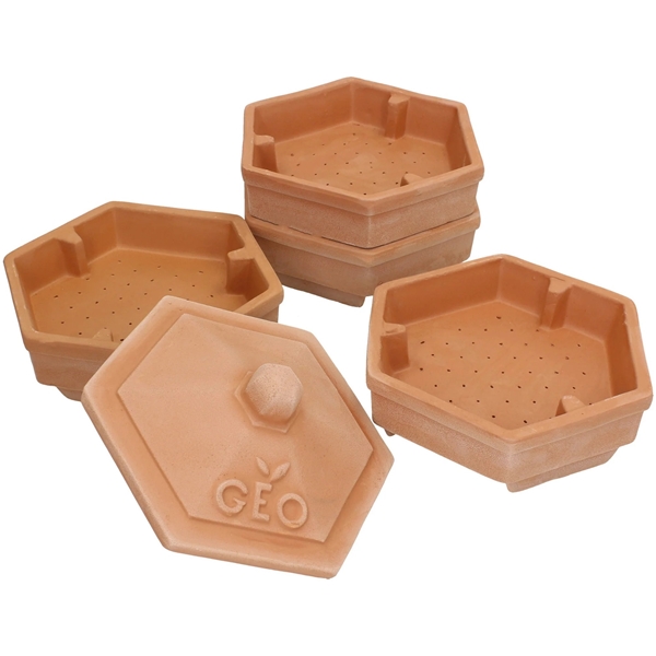 Terradisiena Sprouter Terracotta (Billede 3 af 3)