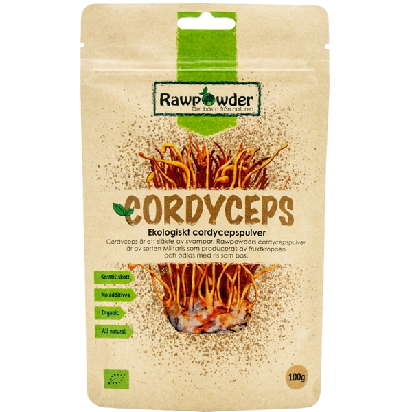 Cordyceps