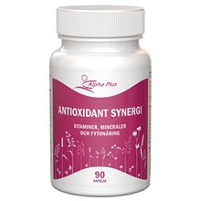 90 kapslar - Antioxidant Synergi