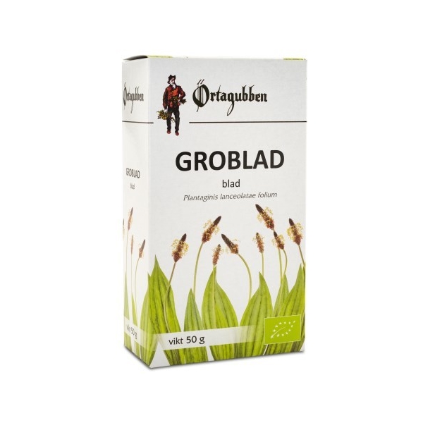 Groblad