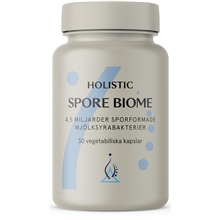 Holistic Spore Biome