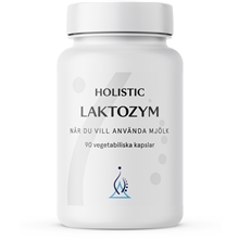 Holistic Laktozym