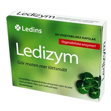 Ledins Ledizym