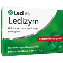 Ledins Ledizym