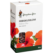 Örtagubben Hibiskusblom