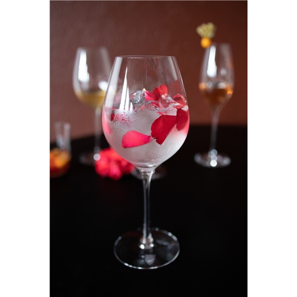 Difference Fruit Hvidvinsglas 45cl (44cl) (Billede 3 af 5)
