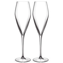 LB Atelier Champagneglas Prosecco Pakke 2 stk. 2 st/pakke