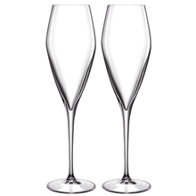 2 st/pakke - LB Atelier Champagneglas Prosecco Pakke 2 stk.