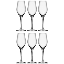 Sense Champagne/Drinkglas Pakke med 6 stk.