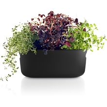 Herb Organiser Selvvandende Krukke