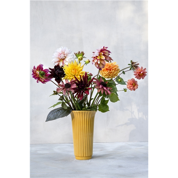 Daisy Vase Gul Amber (Billede 2 af 4)