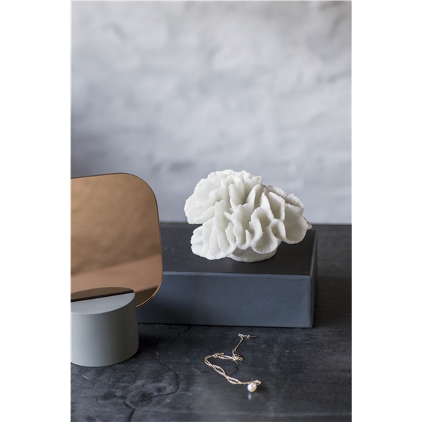 Coral Gills (Billede 3 af 5)