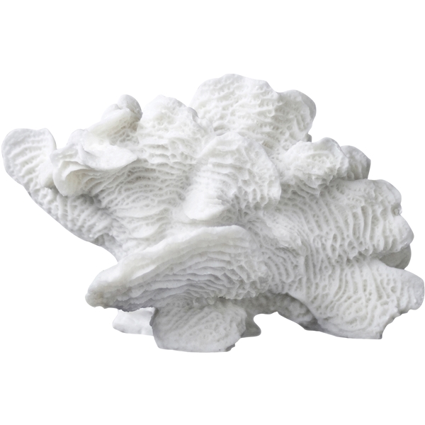Coral Fan - Figurer Skulpturer - Mette