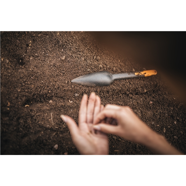 Solid Planteske (Billede 5 af 8)