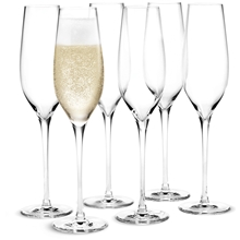 1 set - Holmegaard Cabernet Champagneglas 29 cl Pakke