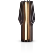 Radiant LED Genopladelig Lampe