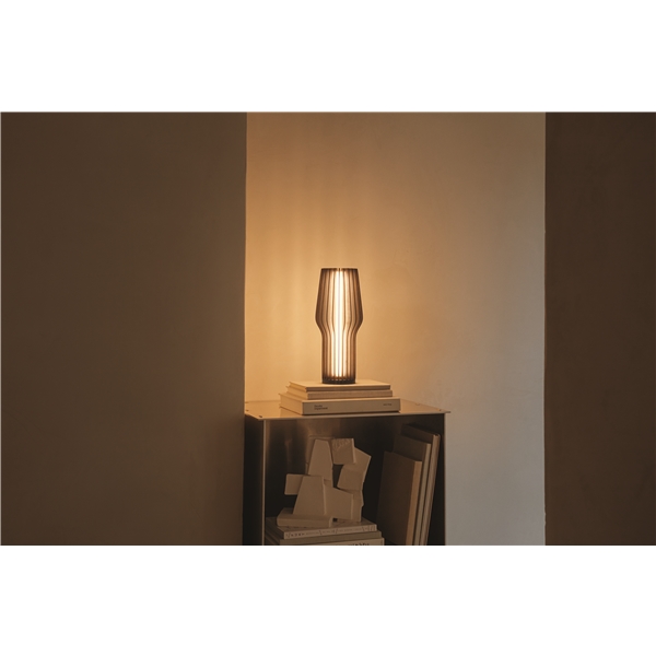 Radiant LED Genopladelig Lampe (Billede 5 af 8)
