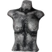 Kvinde Torso