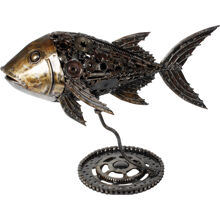Jack Fish