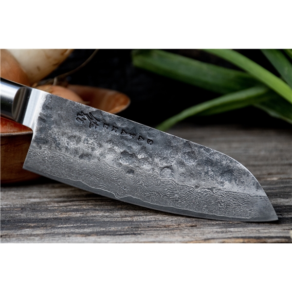 Satake Kuro Kosantoku (Billede 3 af 5)