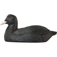 Sothöna - Wildlife Flaskeåbner