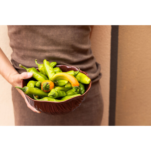 Skål Veggie Vinrød (Billede 4 af 4)
