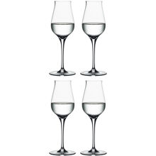 Authentis Digestive 17 cl