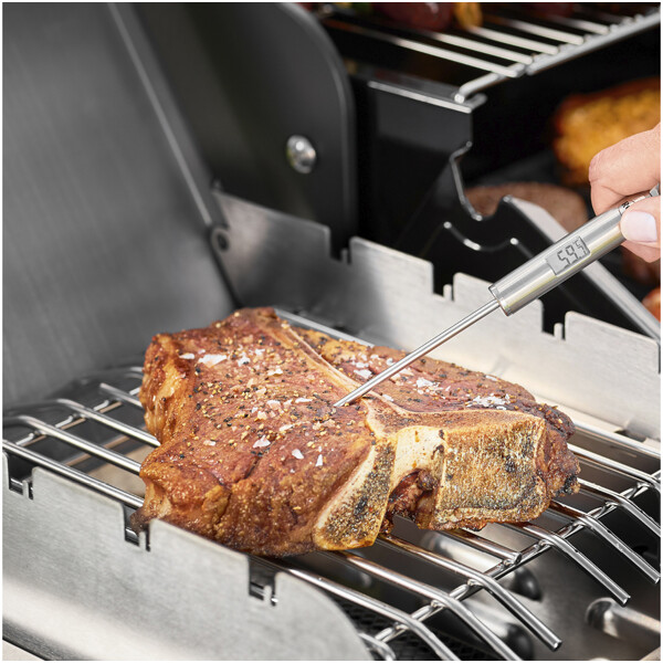 Termometer Gourmet 22 cm (Billede 2 af 3)