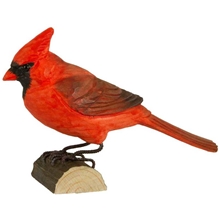 Röd Kardinal
