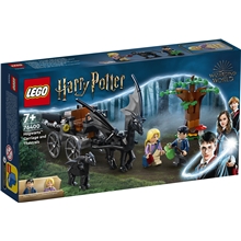 76400 LEGO HP Hogwarts-Vogn & Thestraler