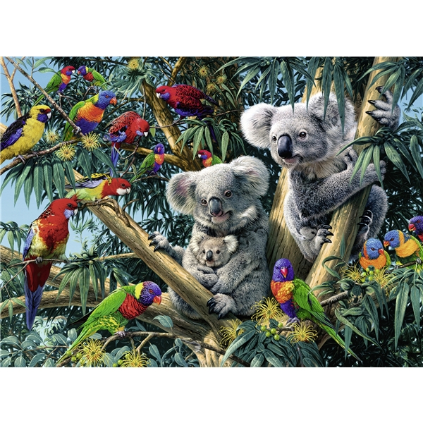 Puslespil 500 Brikker Koalas Tree - 200-500 brikker - |