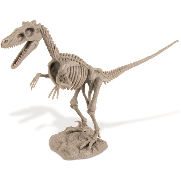 Dino Excavation Kit Velociraptor (Billede 2 af 5)