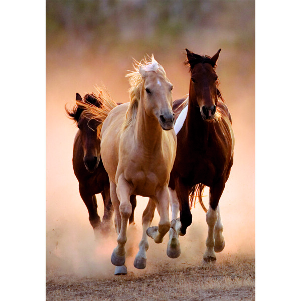 Puslespil 1000 Brikker CB Running Horses (Billede 2 af 3)
