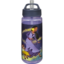 Disney Wish Vandflaske