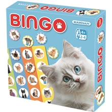 Bingo Katte