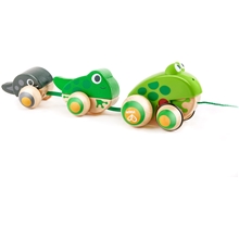 Hape Pull Along Frog Family