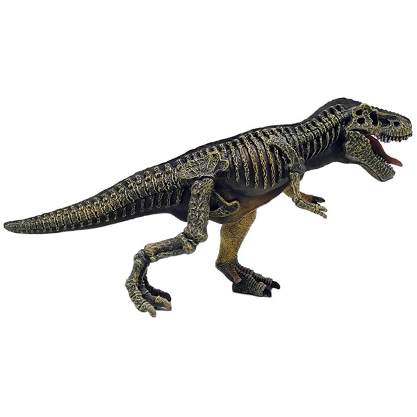 Dinosaur World Realistic 2-sidet T-Rex (Billede 4 af 4)