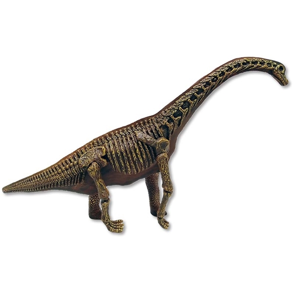 Dinosaur World Realistic 2-sidet Brachiosaurus (Billede 3 af 3)