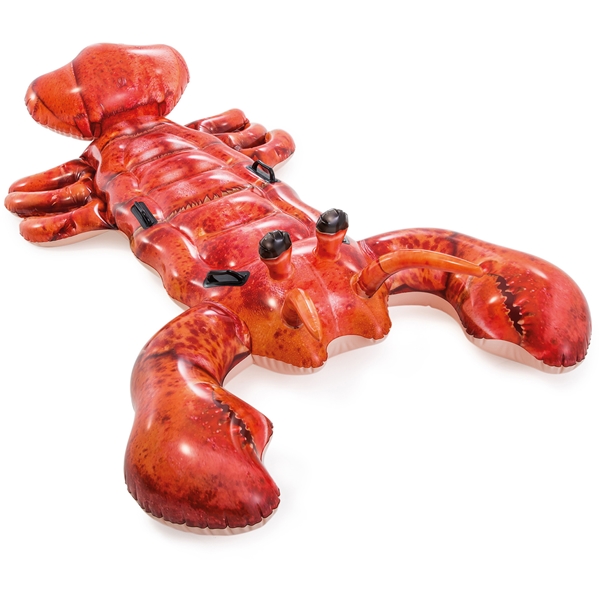 INTEX Lobster (Billede 1 af 2)