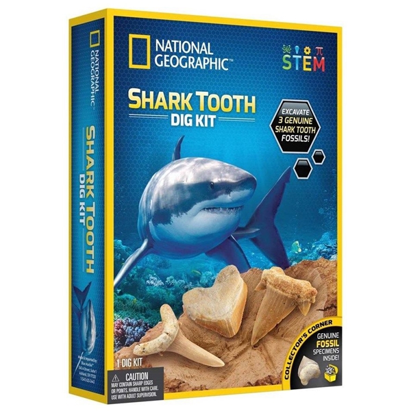 National Geographic Shark Teeth Dig Kit (Billede 1 af 4)